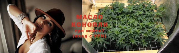 сатива Лабытнанги