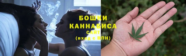 винт Лиски