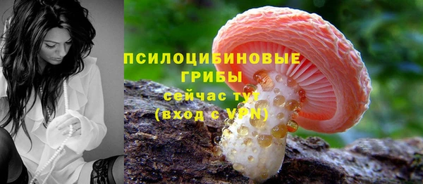 сатива Лабытнанги