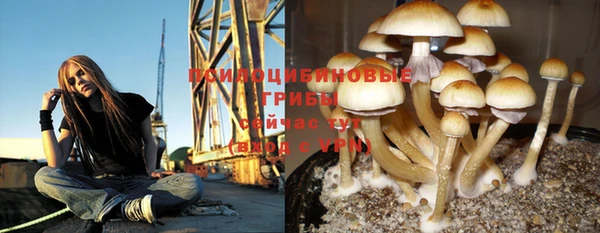гашишное масло Ладушкин
