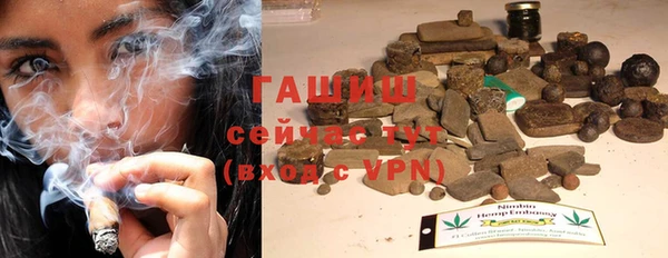 сатива Лабытнанги